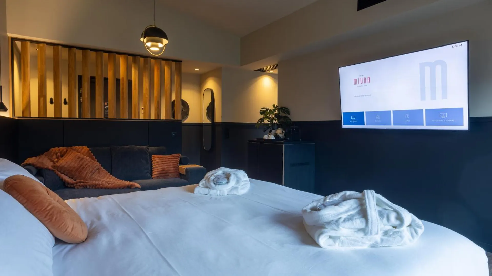 Miura Hotel Voglans 4*,