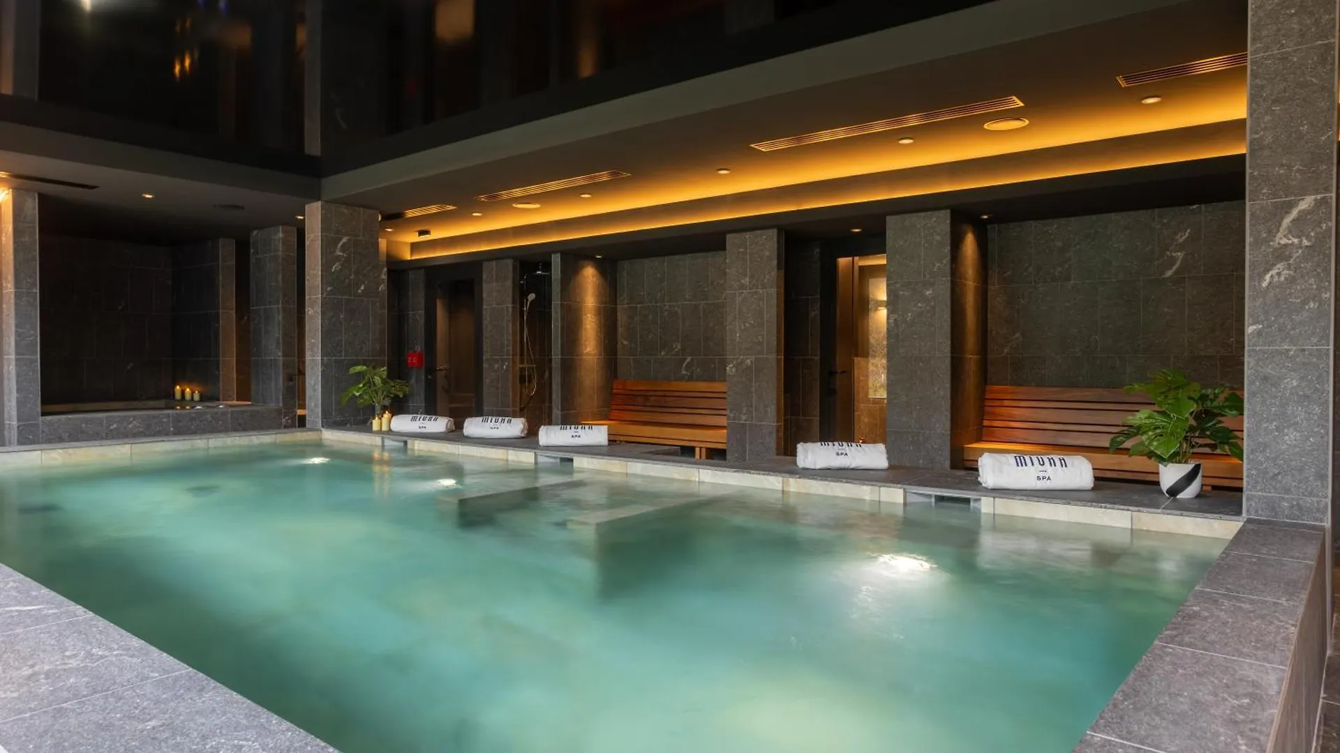 Miura Hotel Voglans 4*,